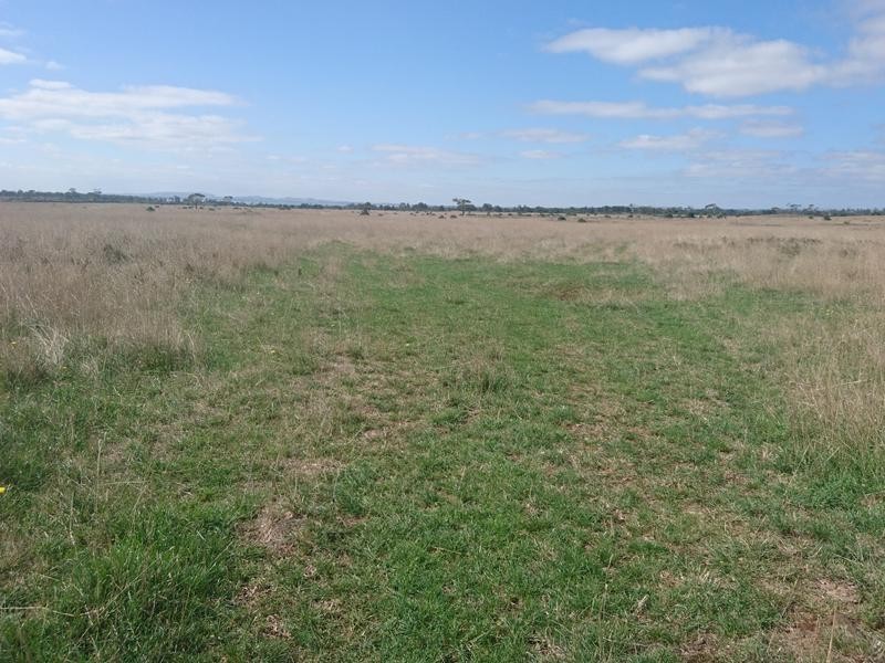 100 Hawks Nest Road, Camperdown VIC 3260