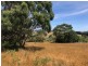 Lot 7 Timboon Curdievale Road, Timboon West VIC 3268