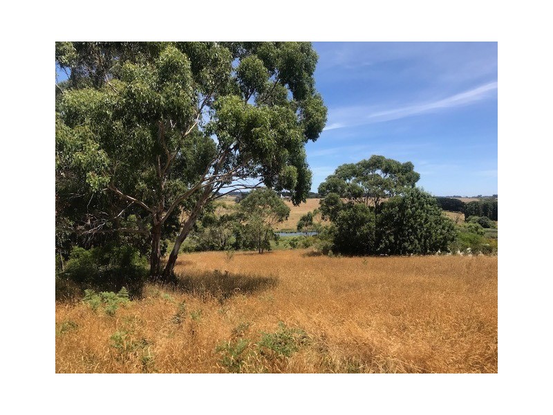 Lot 7 Timboon Curdievale Road, Timboon West VIC 3268