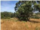 Lot 7 Timboon Curdievale Road, Timboon West VIC 3268
