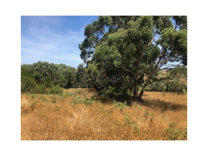 Lot 7 Timboon Curdievale Road, Timboon West VIC 3268