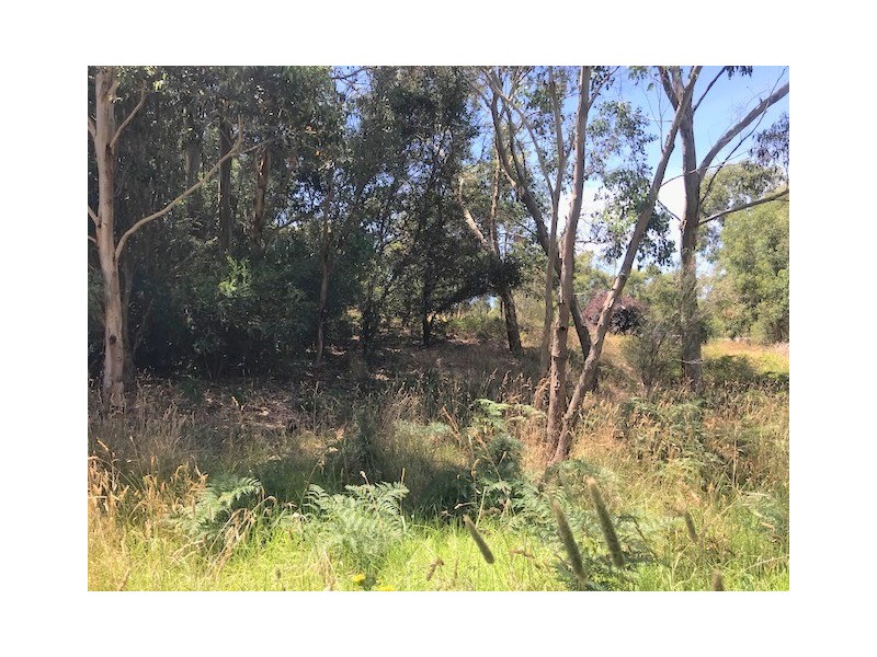 Lot 7 Timboon Curdievale Road, Timboon West VIC 3268
