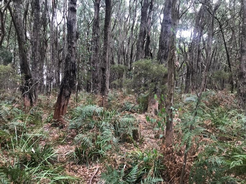 562 Moreys Road, Brucknell VIC 3268