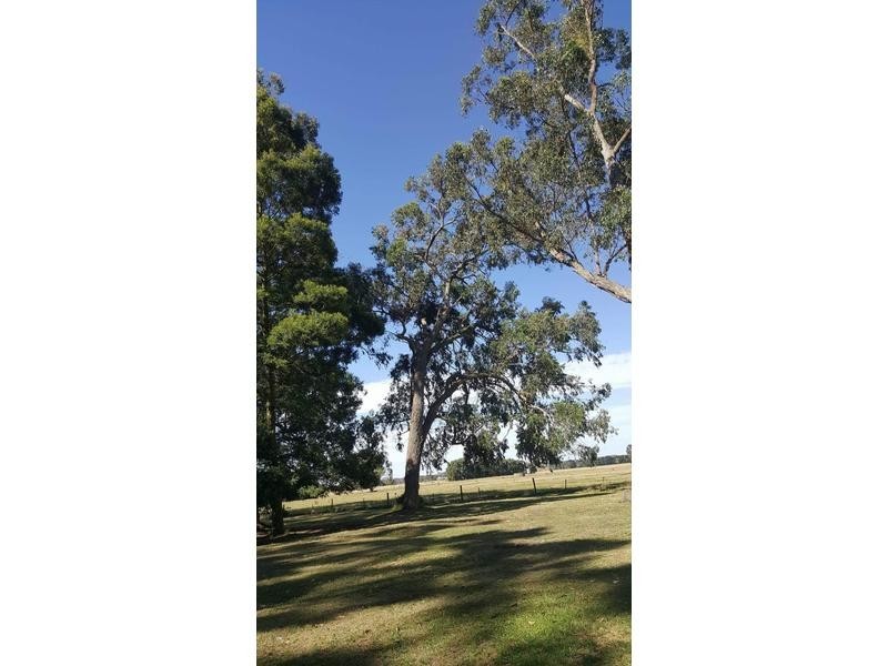 562 Moreys Road, Brucknell VIC 3268