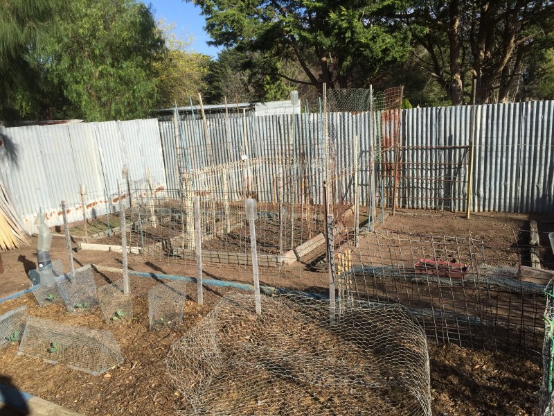 79 Oman Street, Lismore VIC 3324