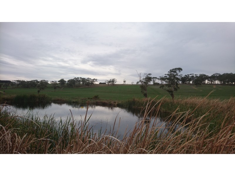 81 McCanns Road, Bullaharre VIC 3266