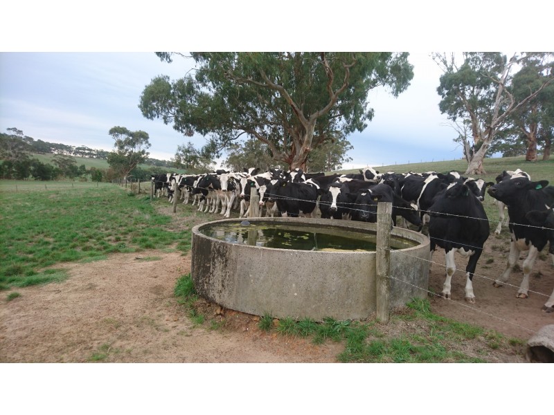 81 McCanns Road, Bullaharre VIC 3266