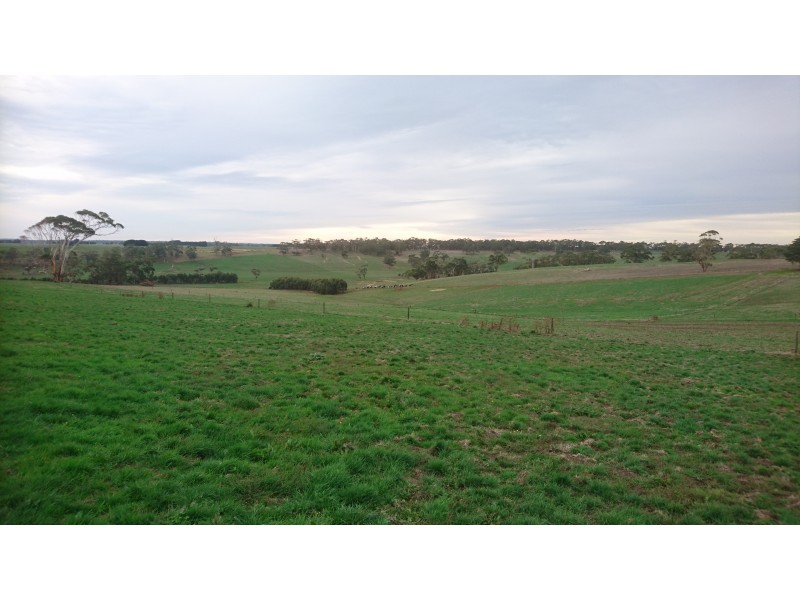 81 McCanns Road, Bullaharre VIC 3266