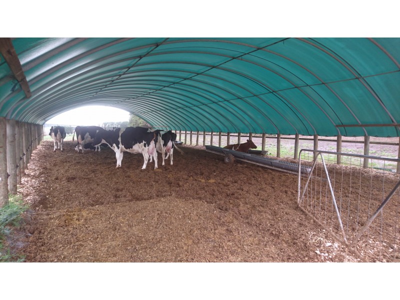 2 Guys Road, Cooriemungle VIC 3268