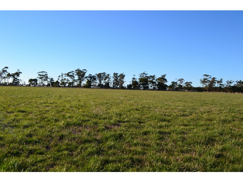 1 Slaughteryard Road, Terang VIC 3264