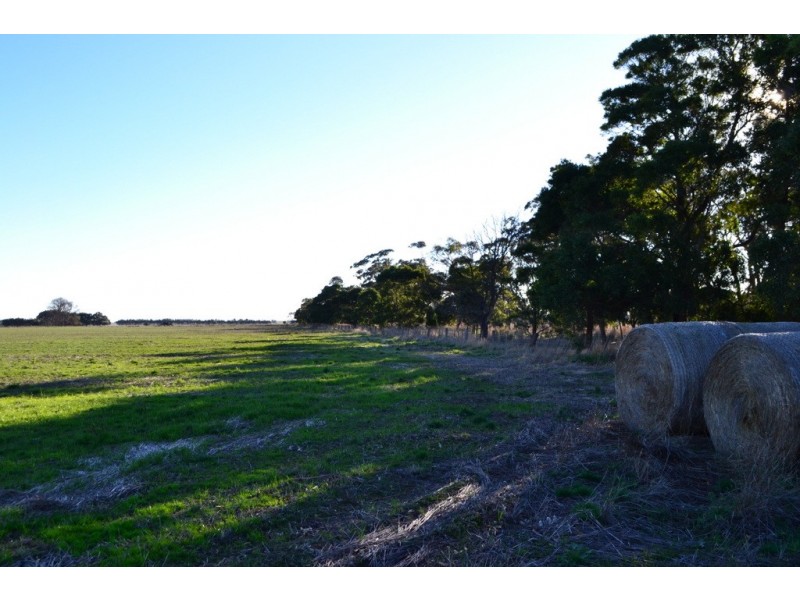 1 Slaughteryard Road, Terang VIC 3264