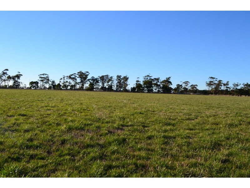 1 Slaughteryard Road, Terang VIC 3264