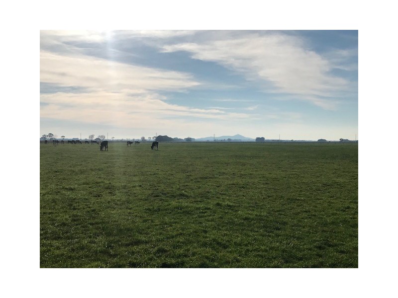 2/Chamallak Lane, The Sisters VIC 3265