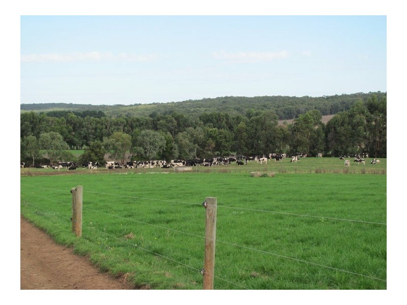 580 Williams Road, Scotts Creek VIC 3267