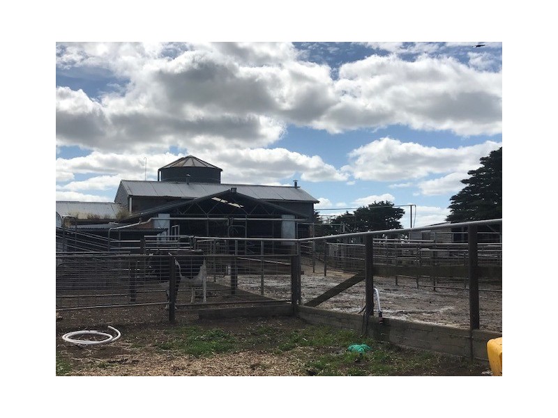 619 Ellerslie Sisters Road, The Sisters VIC 3265