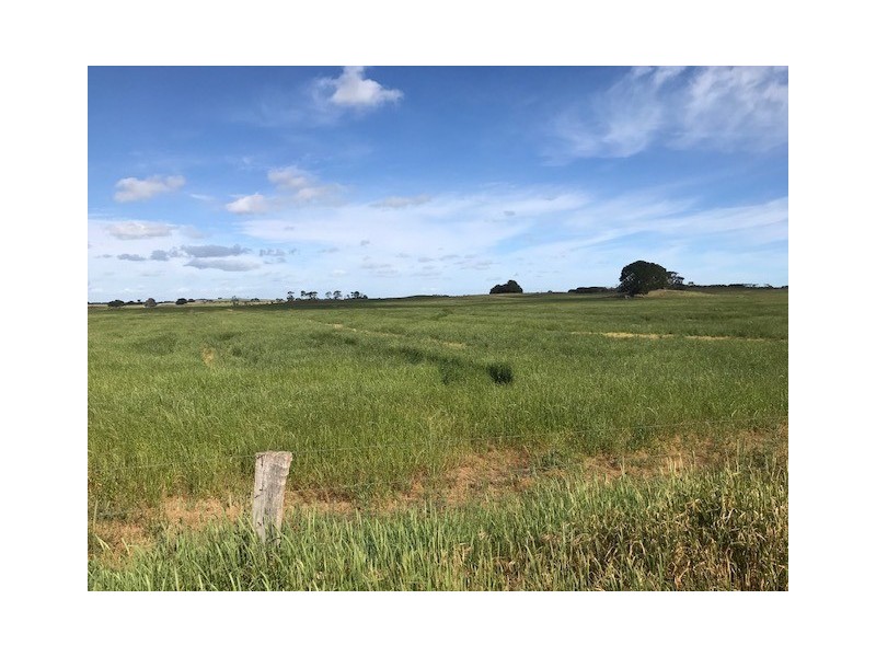 619 Ellerslie Sisters Road, The Sisters VIC 3265