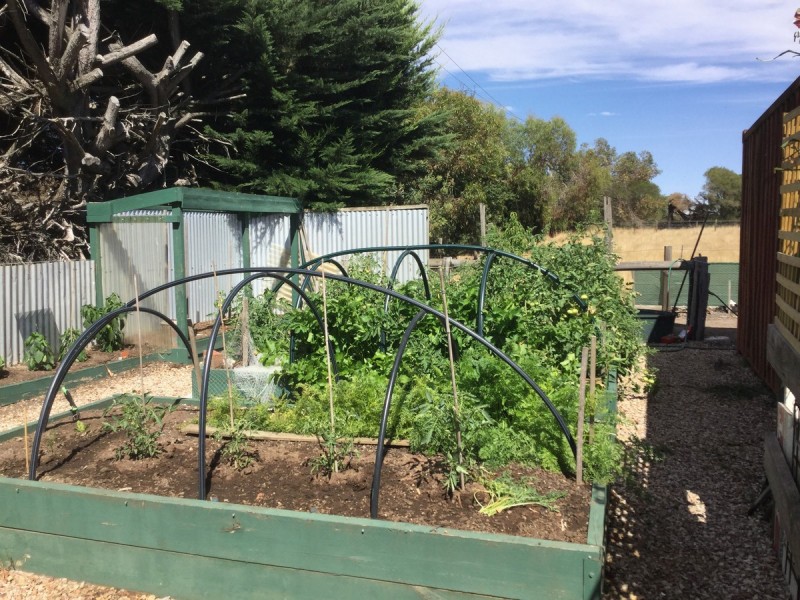 105 Camperdown Lismore Road, Camperdown VIC 3260