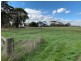 240 Lilleys Lane, Ecklin South VIC 3265