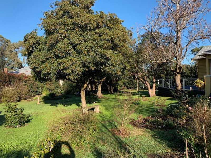 83 Webster Street, Mortlake VIC 3272