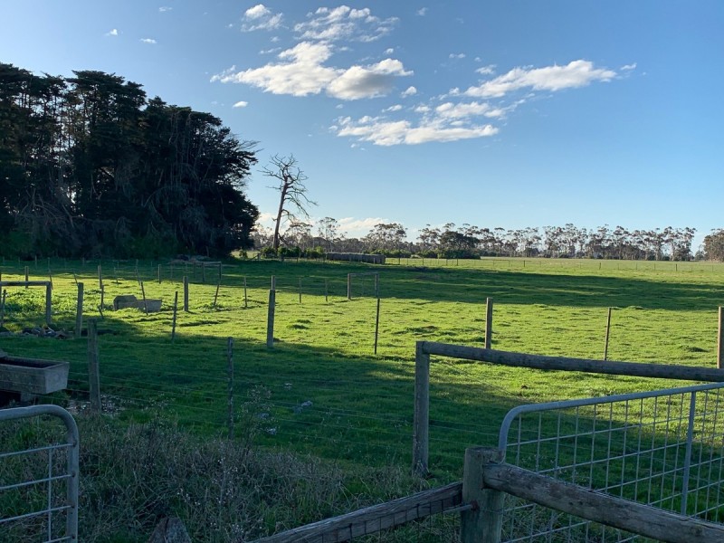 135 Noogee Lane, Terang VIC 3264