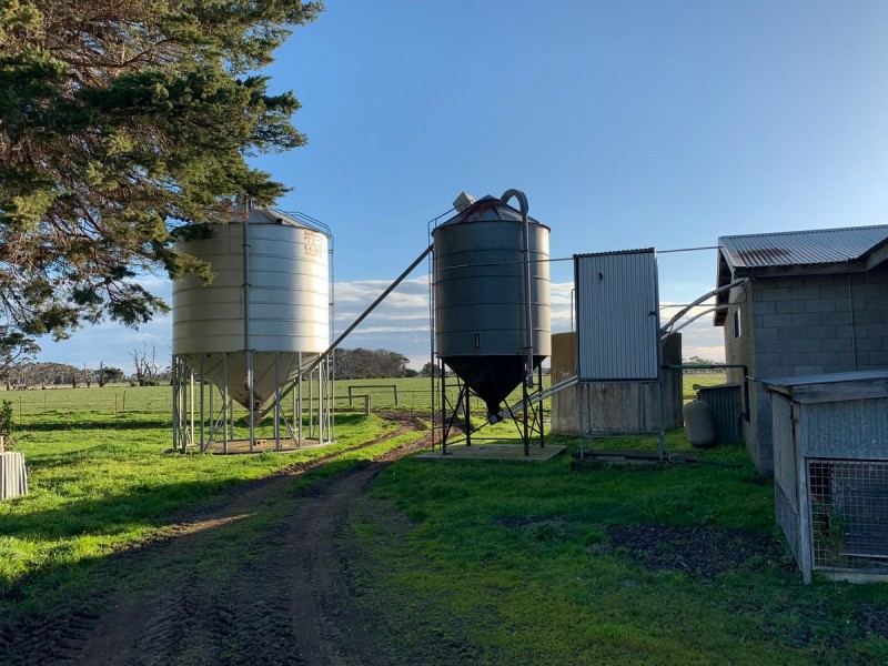 135 Noogee Lane, Terang VIC 3264