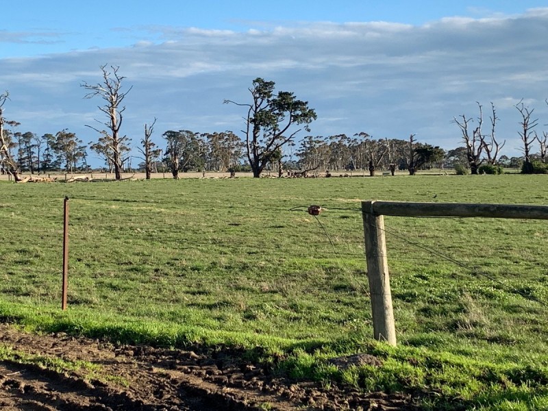 135 Noogee Lane, Terang VIC 3264