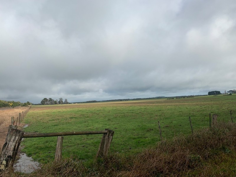 135 Noogee Lane, Terang VIC 3264