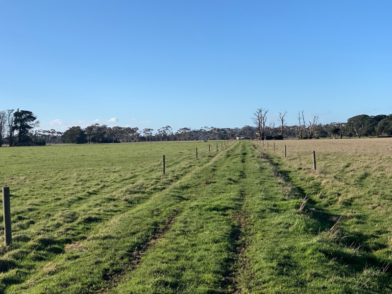 135 Noogee Lane, Terang VIC 3264