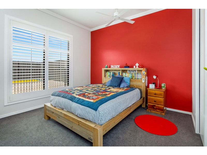 343 Terang Framlingham Road, Terang VIC 3264