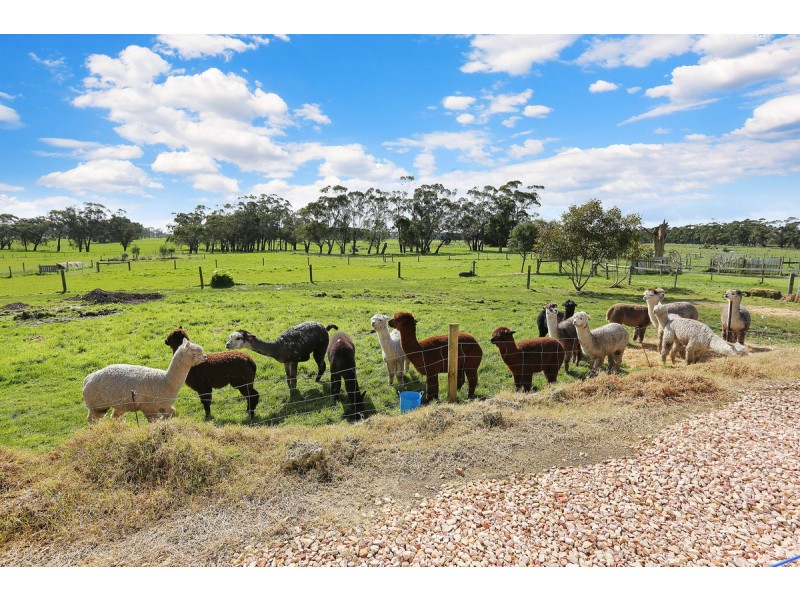 1580 Cobden-Warrnambool Road, Ecklin South VIC 3265