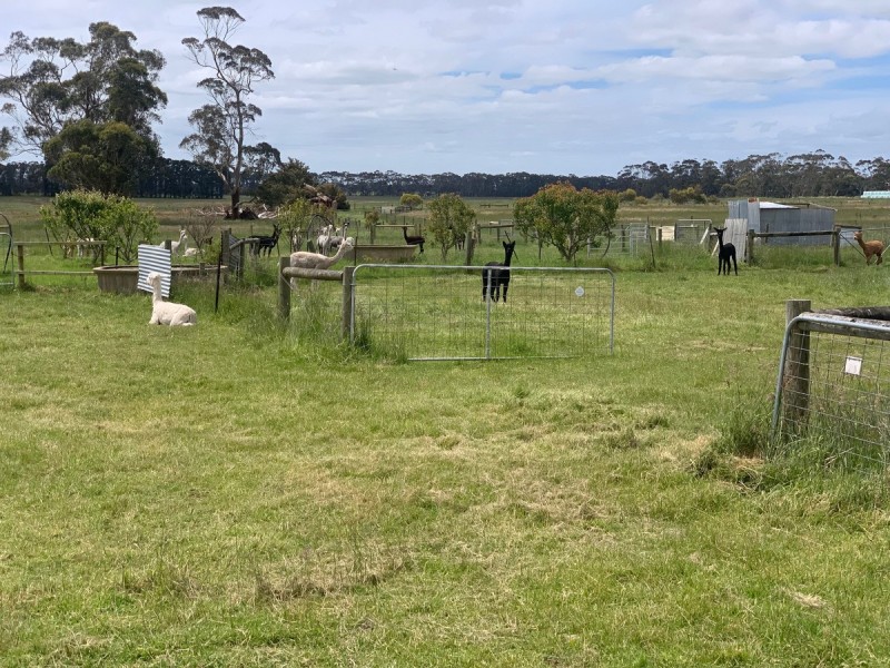 1580 Cobden-Warrnambool Road, Ecklin South VIC 3265