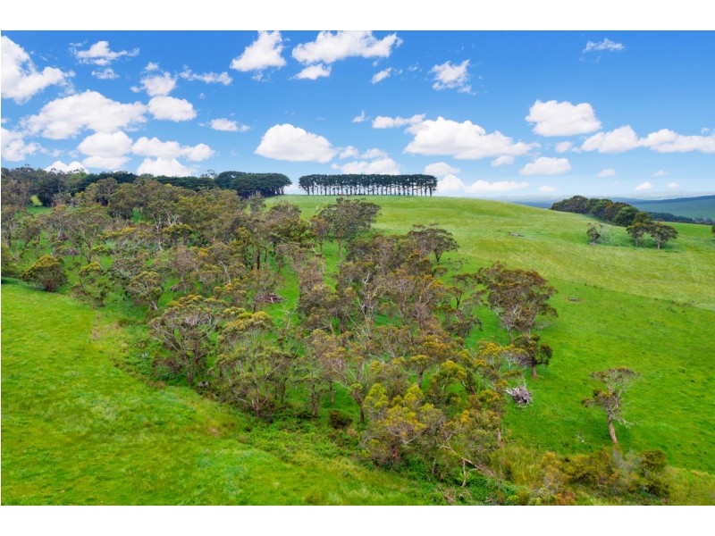 1 & 3 Bornong Road, Cooriemungle VIC 3268