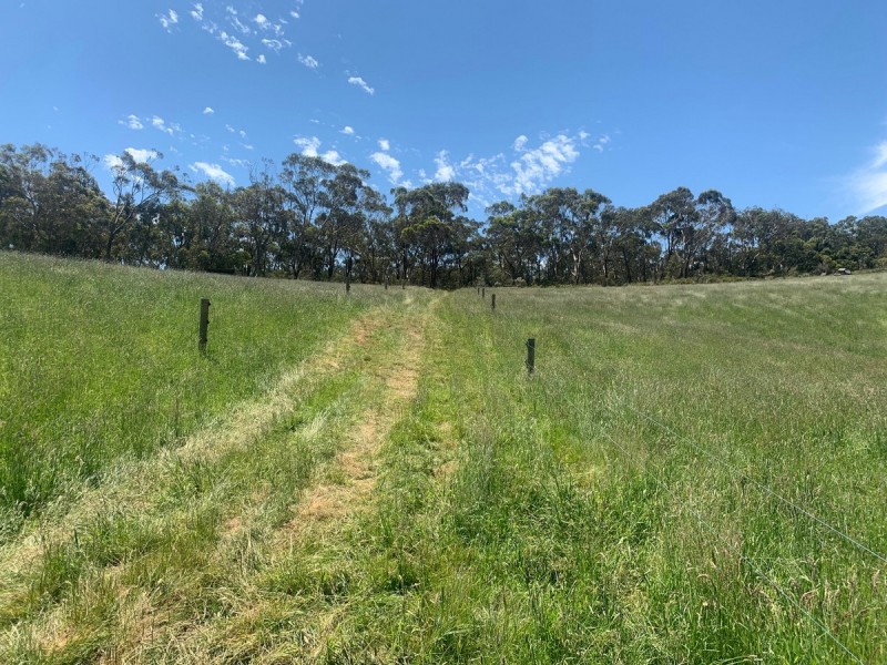 1 Guys Road, Cooriemungle VIC 3268