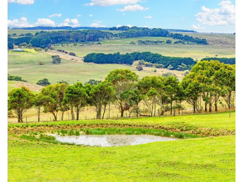 Cobden-Port Campbell Road, Port Campbell VIC 3269