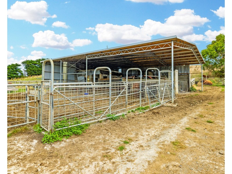 Cobden-Port Campbell Road, Port Campbell VIC 3269