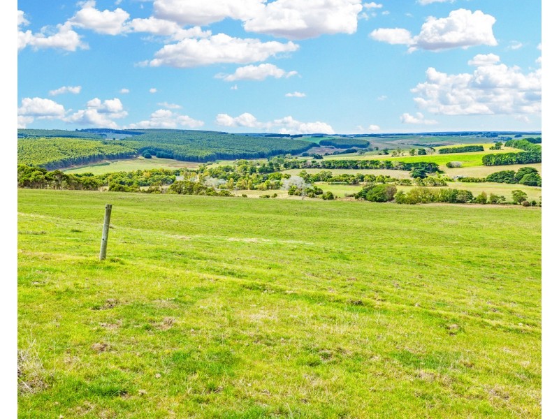 Cobden-Port Campbell Road, Port Campbell VIC 3269