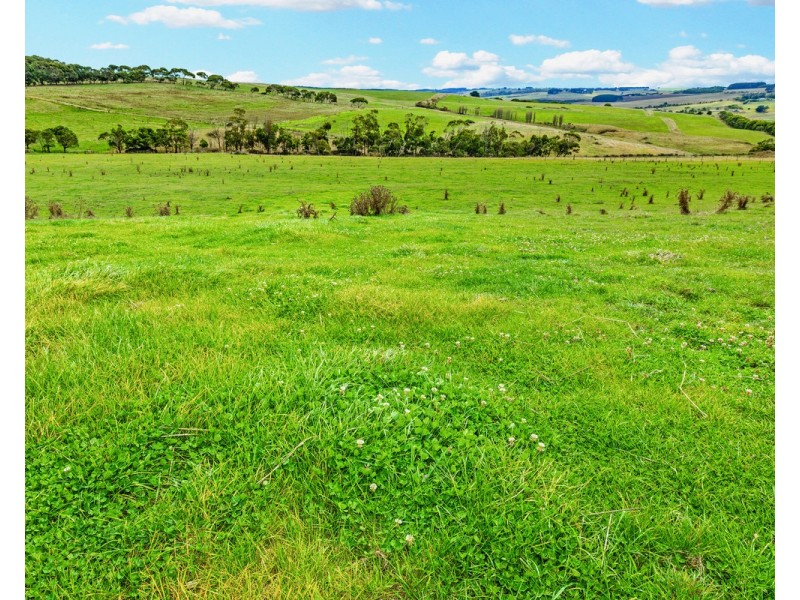 Cobden-Port Campbell Road, Port Campbell VIC 3269
