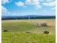 Cobden-Port Campbell Road, Port Campbell VIC 3269