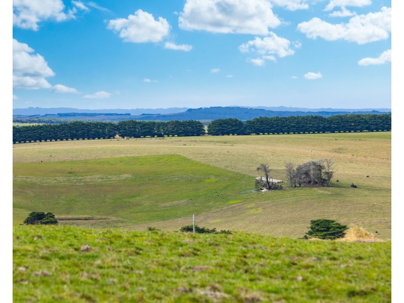 Cobden-Port Campbell Road, Port Campbell VIC 3269