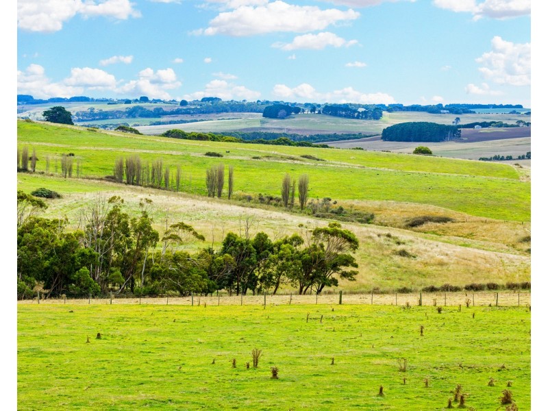 Cobden-Port Campbell Road, Port Campbell VIC 3269