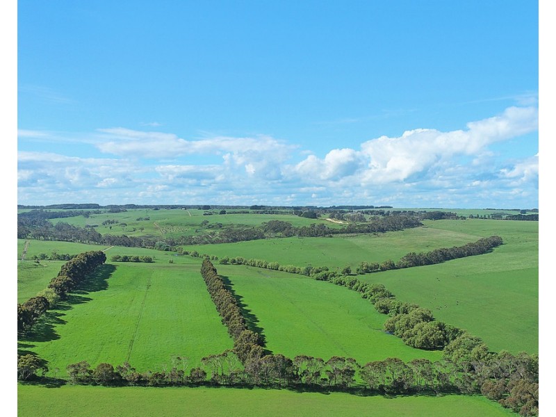 194 Wild Dog Road, Paaratte VIC 3268