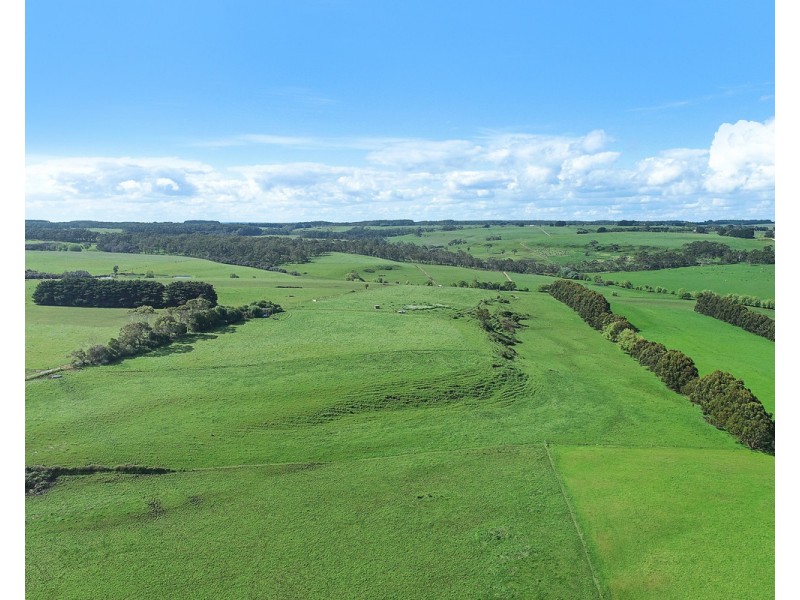 194 Wild Dog Road, Paaratte VIC 3268