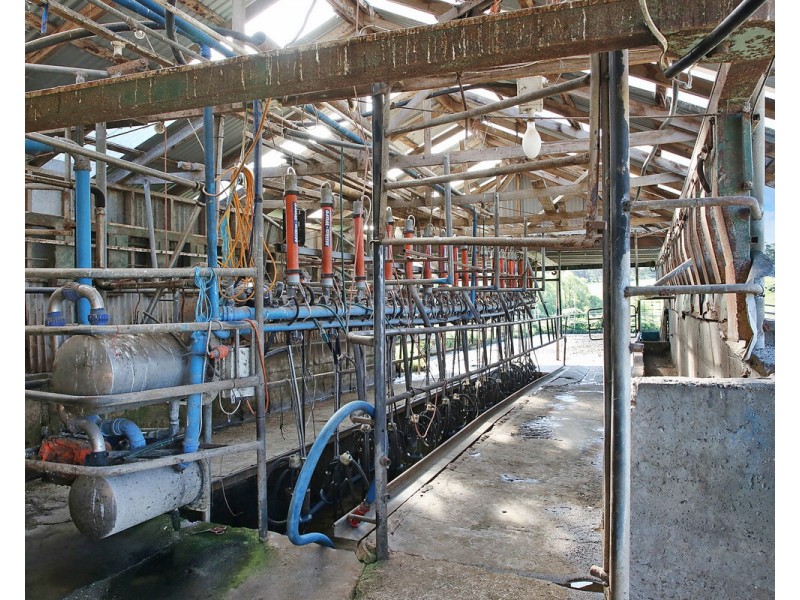 194 Wild Dog Road, Paaratte VIC 3268