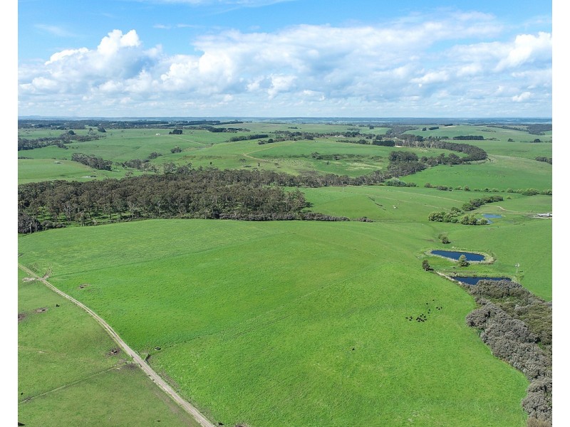 194 Wild Dog Road, Paaratte VIC 3268