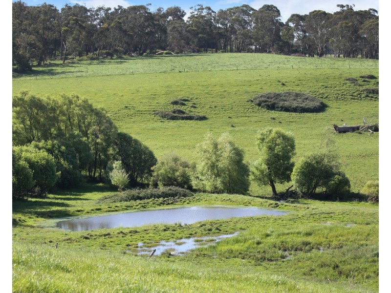 194 Wild Dog Road, Paaratte VIC 3268