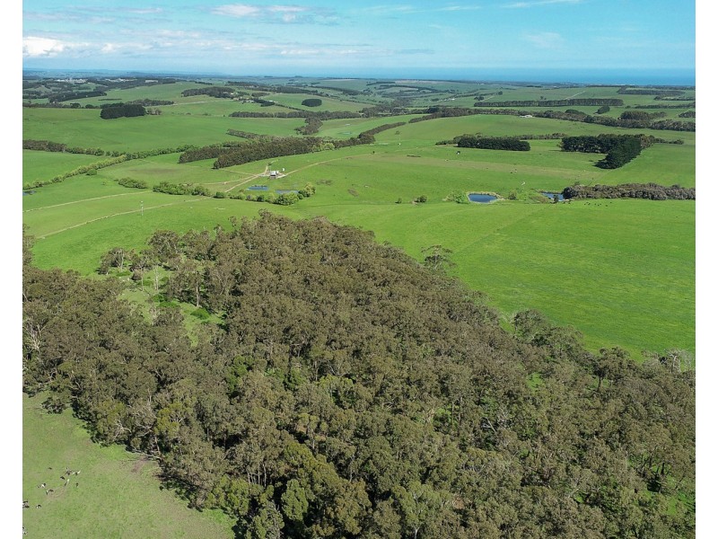 194 Wild Dog Road, Paaratte VIC 3268