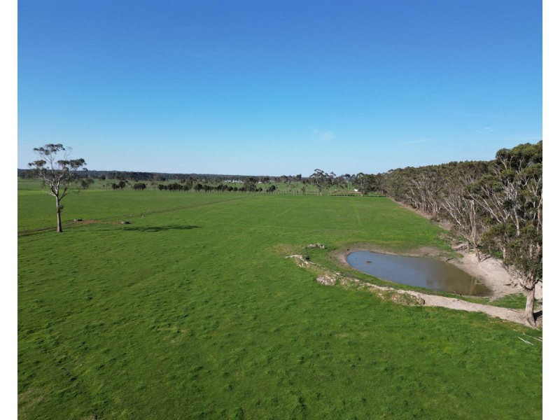 Horans Road, Carpendeit VIC 3260