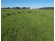 Horans Road, Carpendeit VIC 3260