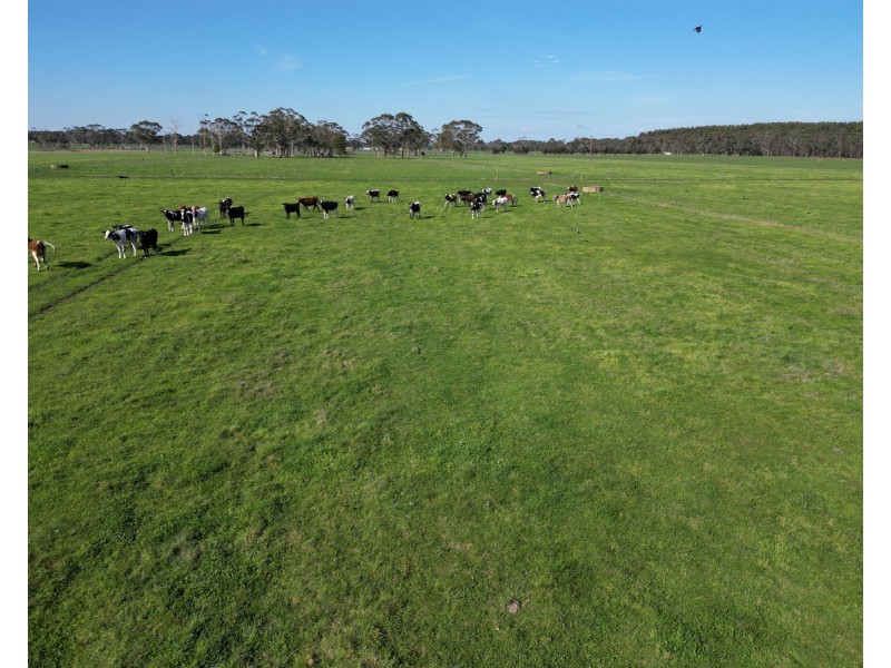 Horans Road, Carpendeit VIC 3260