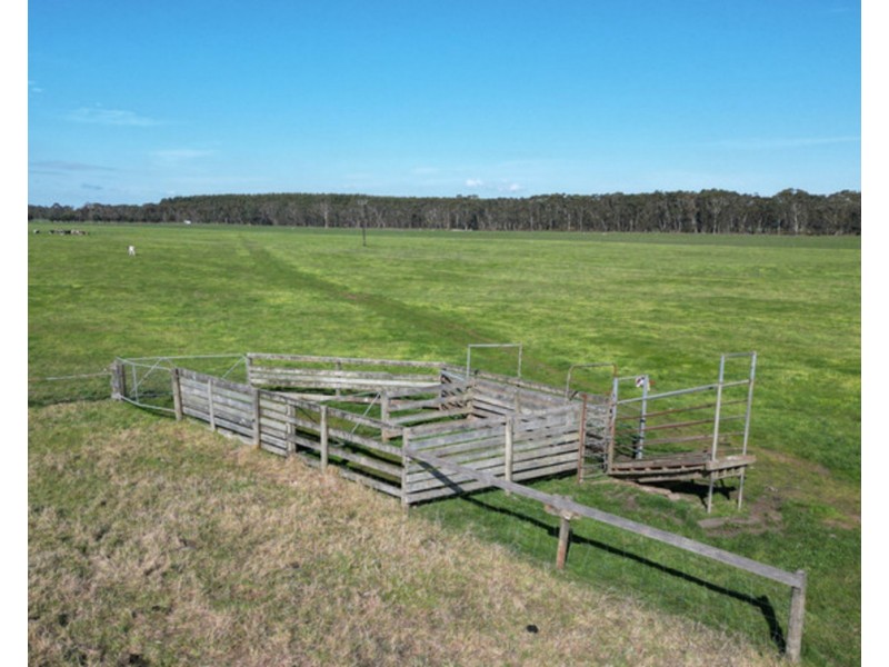 Horans Road, Carpendeit VIC 3260